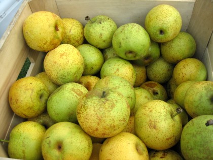 Fruit - Thistledown Asian Pears 8.25.09
