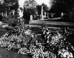 e1241648470