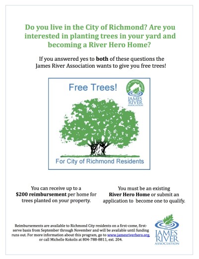 Tree Incentive Flyer